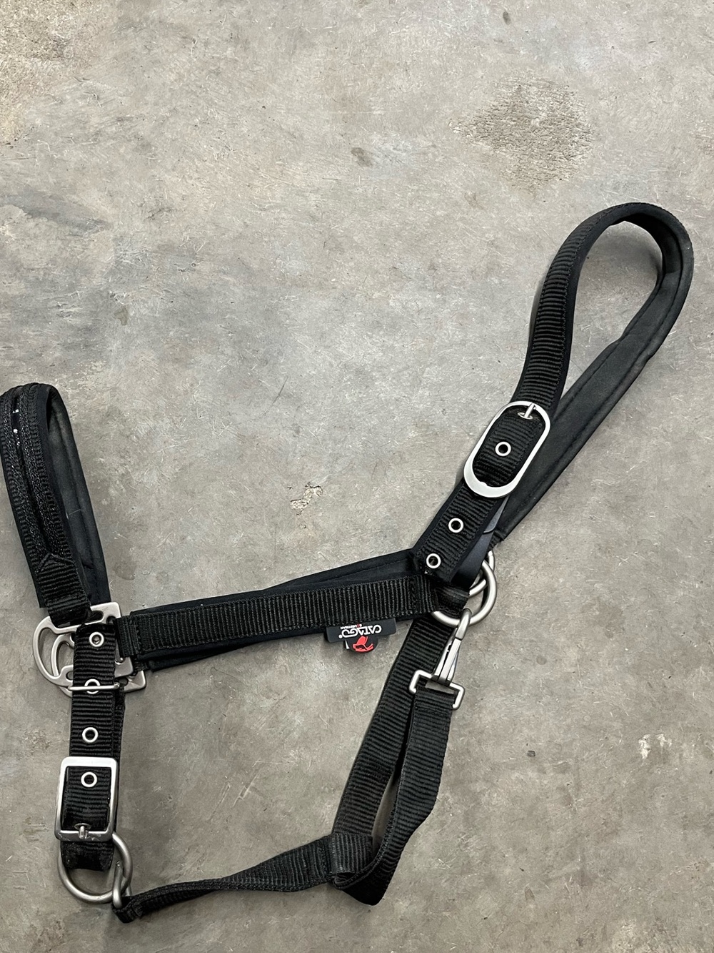 Horse halter